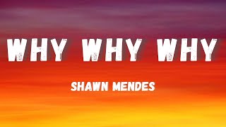 Shawn Mendes  Why Why Why Remix [upl. by Ibrad]