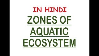 Aquatic Ecosystem Zones  PhoticAphotic Limnetic Pelagic Intertidal Neritic In Hindi [upl. by Nauqaj566]