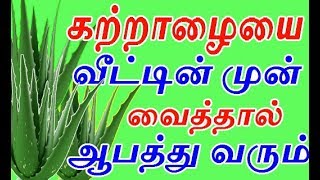 கற்றாழையை வீட்டின் முன் நட்டு வைத்தால் ஆபத்து வருமா  how to grow katralai or aloevera in home [upl. by Llenehc]