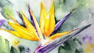 Watercolor bird of paradise flower paint along tutorial demo [upl. by Hiller]