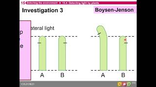 HKDSE Biology  Detecting the Environment  Part 3 [upl. by Quiteri]