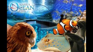 MANILA OCEAN PARK STROLL FULL VIDEO [upl. by Ymer967]