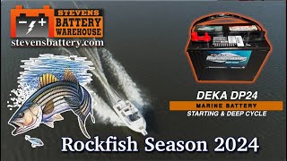 Rockfish Season on the Chesapeake DP24 Deka Marine Battery 159 95 [upl. by Hagar868]