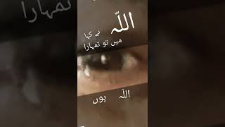 Soore toaaha Qraan trjumh  you tube short viral vidio Kuran tarjuma Islamic status 🕋🕋🕋🕋 [upl. by Novahc]