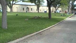 Video tour of Fort Sam Houston  IMCOM Family MWR Public Affairs 110615 [upl. by Cornell]