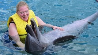 Day 4 on the Carnival Fantasy Dolphin Encounter in Cozumel [upl. by Noled338]