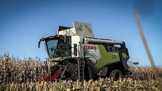 🇵🇱Koszenie Kukurydzy Na Ziarno 2024🔥Claas Trion 640 W Akcji🔥UR Kamwio🔥 [upl. by Robison]