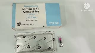 Ampiclox 250mg Capsule Uses in Urdu Ampiclox 500mg Capsule Uses Ampiclox Capsule 250mg Ampicillin [upl. by Sadirah]