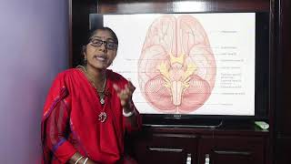 Lecture on Olfactory Nerve [upl. by Ally]