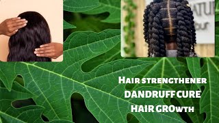 DOES PAPAYA GROW HAIR I USED PAPAYA LEAVES ON MY HAIR FOR SOME DAYS PAPAYA VIRAL HAIR GROWTH [upl. by Ytsur]