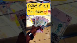 కువైట్ లో మా Wife ఒక నెల జీతం kuwaitteluguvlogs teluguvlogs indiansinkuwait kuwaitvlog vlog [upl. by Yvehc]