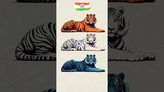 Tiger 🐯 Art 🇮🇳 Indian Flag art 🇮🇳 Independence day special art art shorts short tiger [upl. by Attelliw]