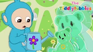 Tiddlytubbies NEW Season 3 ★ Episode 2 Magic Growing Teddy Bear [upl. by Nilesoj103]