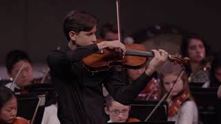 Carl Stamitz Viola Concerto in D Major Op 1 I Allegro [upl. by Naellij]