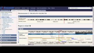 Looking at the Region of the LCT Gene [upl. by Htebiram]