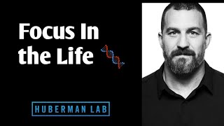 andrew huberman  huberman lab podcast huberman podcast [upl. by Gentilis]