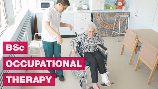 Occupational Therapy  A day in the life on Placement [upl. by Senalda209]