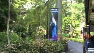 シンガポール観光  Tram Ride  Jurong Bird Park  Singapore [upl. by Ynohtnael]