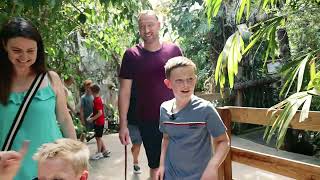 Plantasia Tropical Zoo Indoor Jungle Adventures for Families in Swansea Great Attractions in Wales [upl. by Pascal]