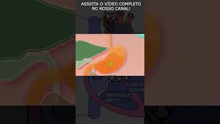 Descubra como funciona o sistema digestivo humano da boca ao intestino [upl. by Atworth]