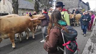 Une vachement belle transhumance en Aubrac  26 mai 2019 [upl. by Osanna301]