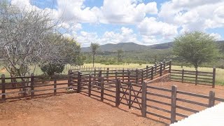 Fazenda à venda em Boa Vista do TupimBahia 71 9 99834098 zap  Código 501 [upl. by Anaerda]