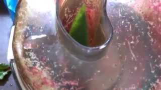 Vegan Foods Water Melon Skin amp Beet Juice Quickie [upl. by Arahat506]