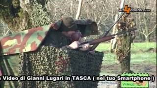 Caccia alle cesene Lugari Video [upl. by Acenes937]