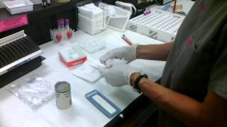 Microhematocrit demo [upl. by Dnesnwot230]