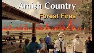 Devastating Forest Fires in Amish Country [upl. by Gladys]