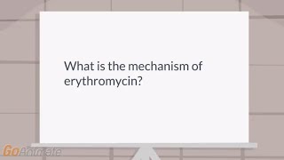 What is the mechanism of erythromycin [upl. by Costin159]