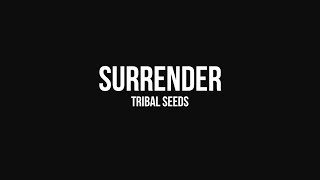 Tribal Seeds  Surrender OFFICIAL AUDIO [upl. by Terrel807]