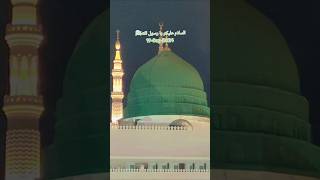 rozarasoolsaw madinasharif gumbadekhazra shortsbeta shortvideos viralvideos hazratmuhammadsaw [upl. by Nafis360]