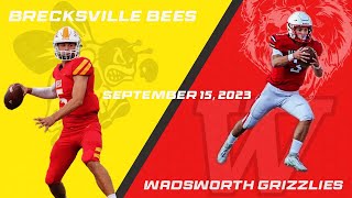 OHSAA Varsity Football  Wadsworth Grizzlies VS Brecksville Bees  Wadsworth Senior Night [upl. by Leikeze]