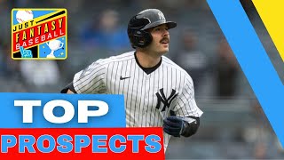 Top Catcher Prospects to Draft and Stash in Fantasy Baseball [upl. by Vinson]