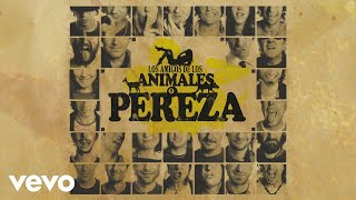 Pereza  Madrid Audio [upl. by Jaella]