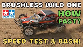 Tamiya Wild One Speed Test and Bash Brushless Classic 1980s RC Buggy RCELF [upl. by Ellenij]