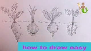 How TO Draw Root VegetablesRoot System Tap Root Drawing Easy [upl. by Uyekawa]