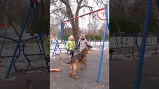 Tense playground situation results in wonderful rescue shorts [upl. by Aimak]