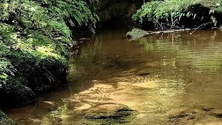 Relaxing and calming nature video [upl. by Alyak]