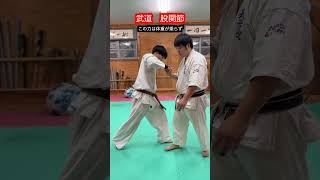 【武道・格闘技】武道は股関節が重要だと言うけど 本当なのか！？ aikido ＃karate martial 武道 ＃空手＃合気道＃筋トレselfdefens [upl. by Yasmar]