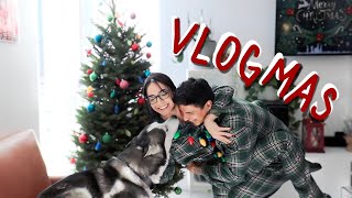 Decorando de Navidad 🎄 Vlogmas Día 2 [upl. by Ddej]