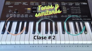 Tonos y semitonos en el piano clase 2 [upl. by Eisserc]