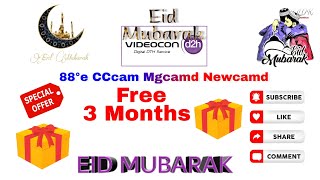 1 Year Free Cccam server 2023 offer Videocon d2h 88 cccam Free cccam videocon Gift🎁 Dishtv cccam [upl. by Nagirrek]