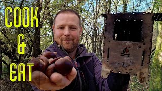 Roasting chestnuts on my Bushbox xl essentials stove [upl. by Otreblig]