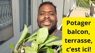 Comment faire un potager balcon et terrasse [upl. by Yendis]