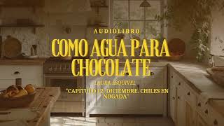 Como agua para chocolate  AUDIOLIBRO  Capítulo 12 Diciembre Chiles en nogada [upl. by Llerej]