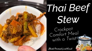 Thai Beef Stew  Comfort Food in the Crock recipe cooking crocktober2024 delicious [upl. by Yattirb]