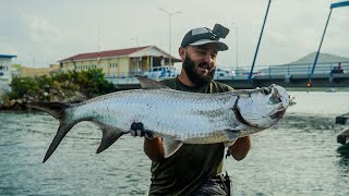 I Travelled 17000KM To Tick This Off My Bucket List  Tarpon Fishing  St Maarten 2024 [upl. by Ruskin44]