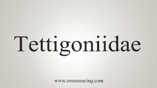 How To Say Tettigoniidae [upl. by Langer]